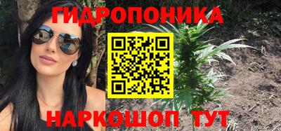 бошки Бийск