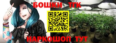 бошки Бийск