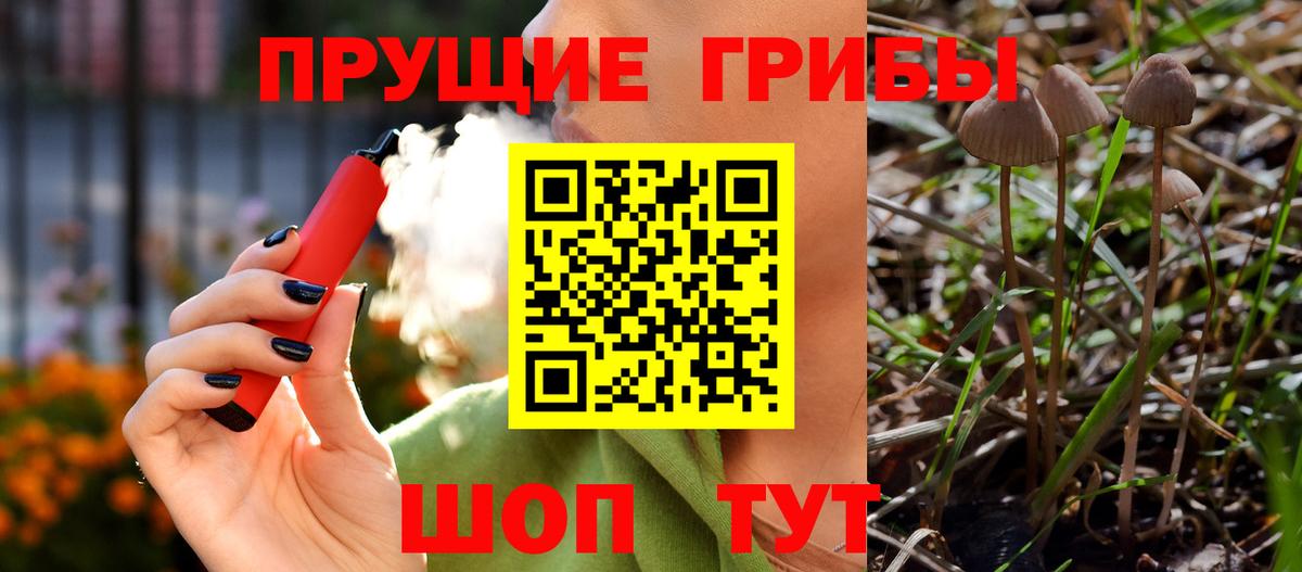 Псилоцибиновые грибы мицелий  Вход с VPN  Переславль-Залесский  Псилоцибиновые грибы Psilocybe 
